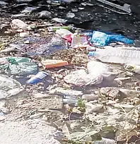 Şamran Kanalı'nda biriken çöpler sağlığı tehdit ediyor