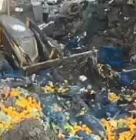 Sarp Sınır Kapısı'nda 6 ton mandalina imha edildi