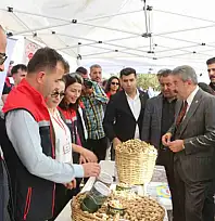 Şırnak'ta 25 bin ton yer fıstığı rekoltesi bekleniyor