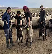 Şırnak'ta hayvancılığa 2025'te güçlü dokunuş