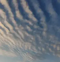 Sirrokümülüs bulutları Van semalarında görsel şölen sundu