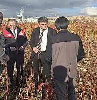 Soğuk hava deposunun yapımı devam ediyor