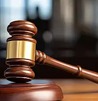 T.C. VAN 4. ASLİYE CEZA MAHKEMESİ