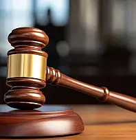 T.C. VAN 7. ASLİYE CEZA MAHKEMESİ