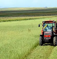 Tarım-GFE yıllık yüzde 34,24 arttı