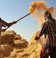 Tarım-GFE yıllık yüzde 34,60 arttı