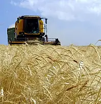 Tarım-ÜFE yıllık yüzde 43,58 arttı