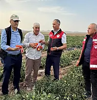 Tarım ve Orman İl Müdürü Dr. Şişman, Tuşba'da üreticileri ziyaret etti