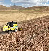 Tarımsal girdi fiyatları yıllık yüzde 33,66 arttı