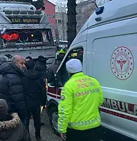 Tatvan'da tırın çarpması sonucu bir kişi hayatını kaybetti