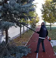 Tuşba Belediyesi ağaç budama çalışmalarına devam ediyor