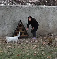 Tuşba Belediyesi'nden sokak kedileri için kış önlemi