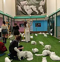 Üniversite öğrencileri Van'da uygulamalı eğitim aldı