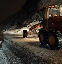 Van-Bitlis karayoluna çığ düştü