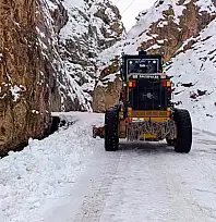 Van Büyükşehir Belediyesi'nden karla mücadele çalışması