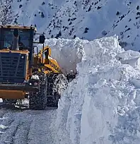 Van-Çatak karayolu ulaşıma açılmaya çalışılıyor