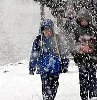 Van'da 4 ilçede eğitime kar engeli