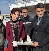 Van'da balıkçılara sıkı denetim