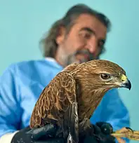 Van'da bitkin düşen yaban hayvanlarına şefkat eli