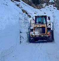 Van'da çığa rağmen hayat yolu açıldı