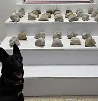 Van'da eroin ele geçirildi