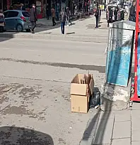 Van'da gelişigüzel atılan çöpler tepki topluyor