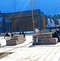 Van'da güneşli hava yüzleri güldürdü