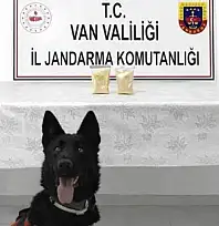 Van'da İranlı şahısın üzerinde eroin ele geçirildi