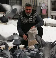 Van'da kar sonrası güvercinlerden görsel şölen