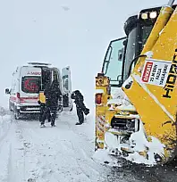 Van'da kar yağışı ulaşımı aksattı