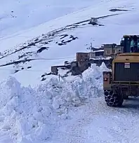 Van'da kardan kapanan yollar açılıyor