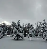 Van'da karla gelen güzellik