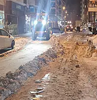 Van'da karla mücadele sürüyor