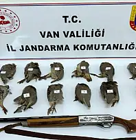 Van'da keklik avlayan kişiye 81 bin TL ceza