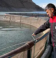 Van'da kırsal kalkınma destekleri alabalık üretimine güç katıyor