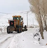Van'da kırsalda karla mücadele seferberliği
