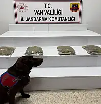 Van'da kubar esrar ele geçildi