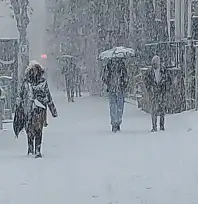 Van'da lapa lapa kar yağdı