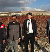 Van'da meyve fidanı üretimini artırma çalışmaları