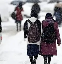 Van'da okullar tatil edildi