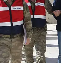 Van'da suç örgütlerine operasyon