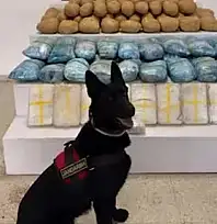 Van'da uyuşturucu kaçakçılarına büyük darbe