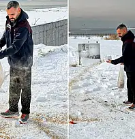 Van'da yaban hayvanları için doğaya yem bırakıldı