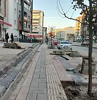 Van'da yenilenen kaldırımlara ağaç dikiliyor