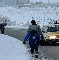 Van'da yoğun kar yağışı: Uçak seferleri rötar yaptı
