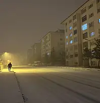 Van'da yoğun kar yağışı