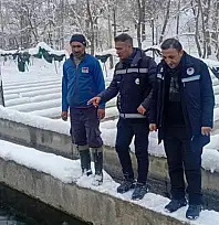 Van'da zorlu kış şartlarında alabalık üretimi mercek altında