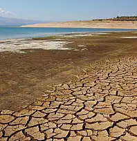 Van Gölü kıyısında sessiz kayıp: Doğal bitki örtüsü alarm veriyor