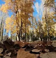 Van'ın sonbahar güzelliği