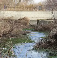 Van Kalesi'ndeki alabalık tesislerinin yeniden hizmete açılması isteniyor
